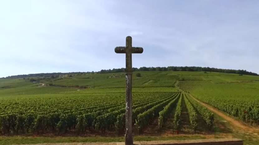 Les Vignobles Autour de Monticello